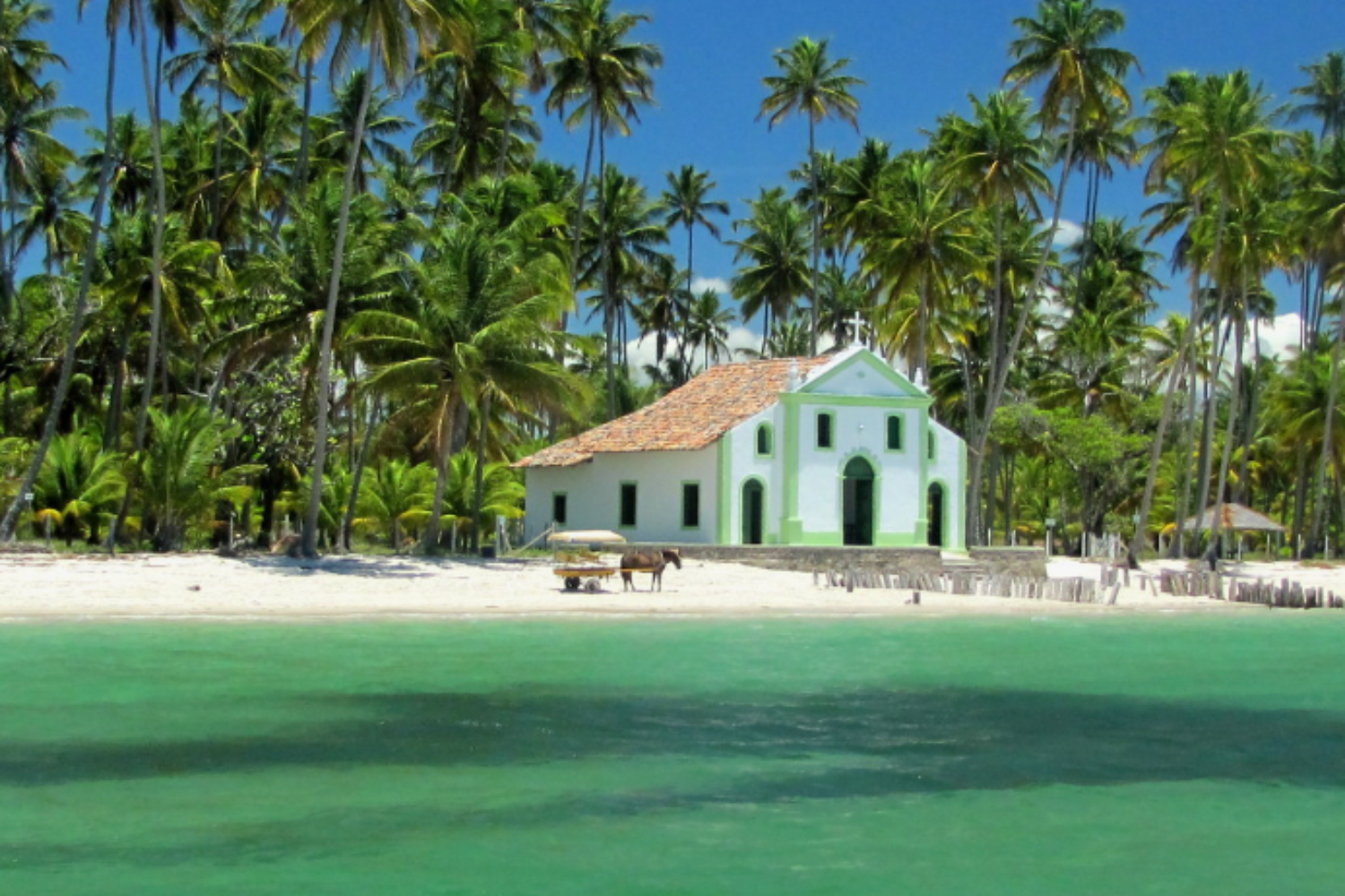 Descubra a Praia dos Carneiros, o Paraíso Tropical em Pernambuco