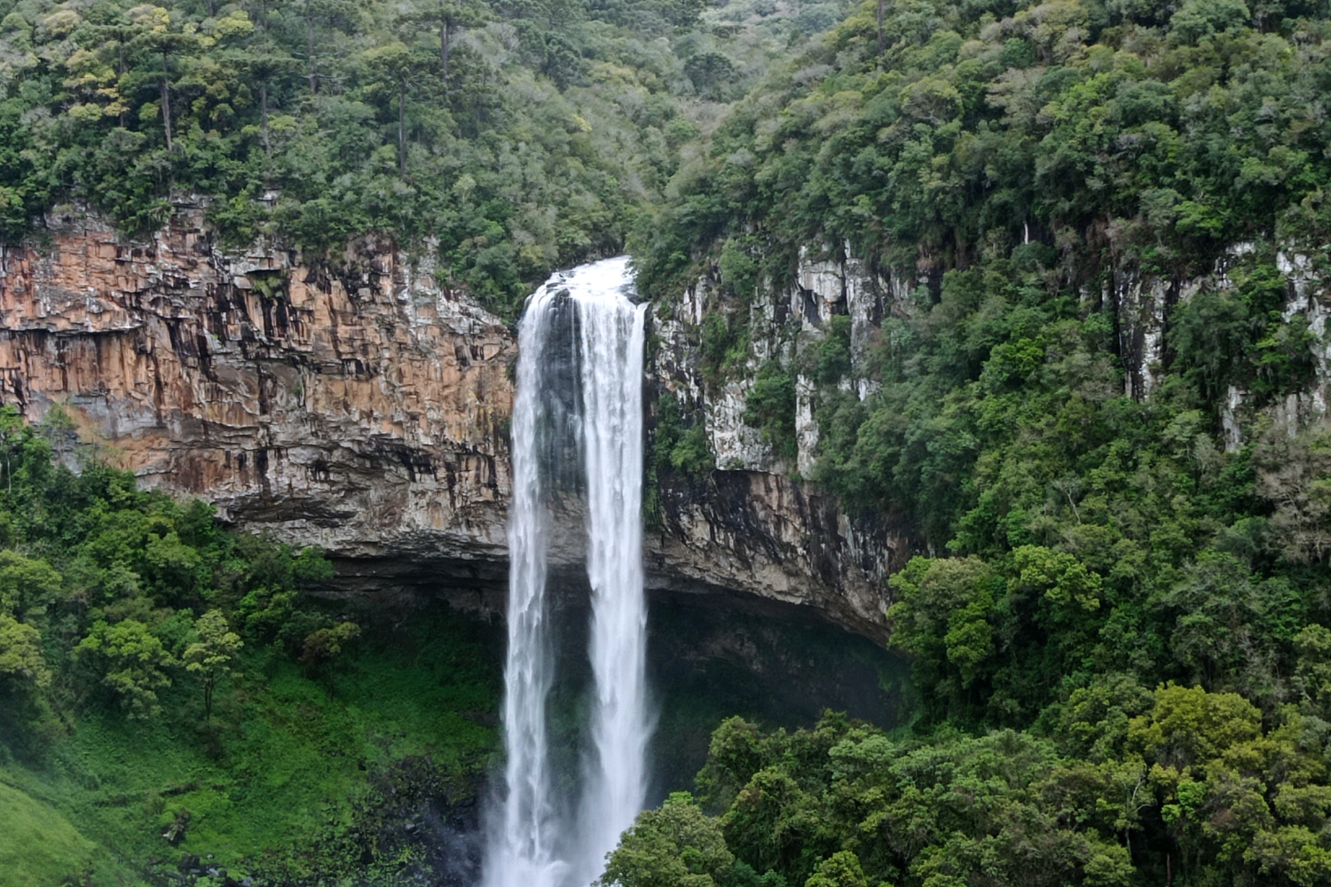 Canela, RS: Um Destino Encantador na Serra Gaúcha